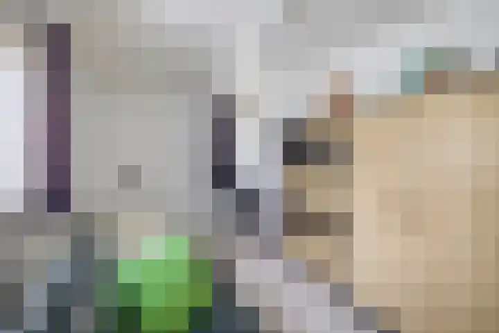 Lindestraat 101 Eersel thumbnail 29