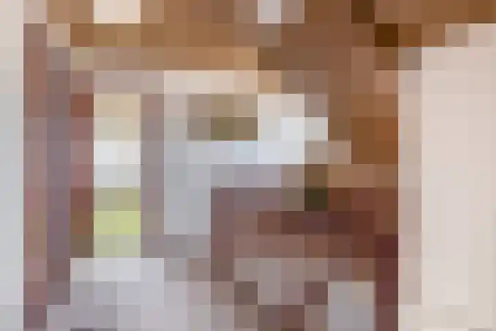 Lindestraat 101 Eersel thumbnail 34