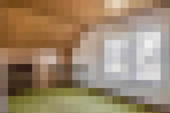 Lindestraat 101 Eersel thumbnail 36