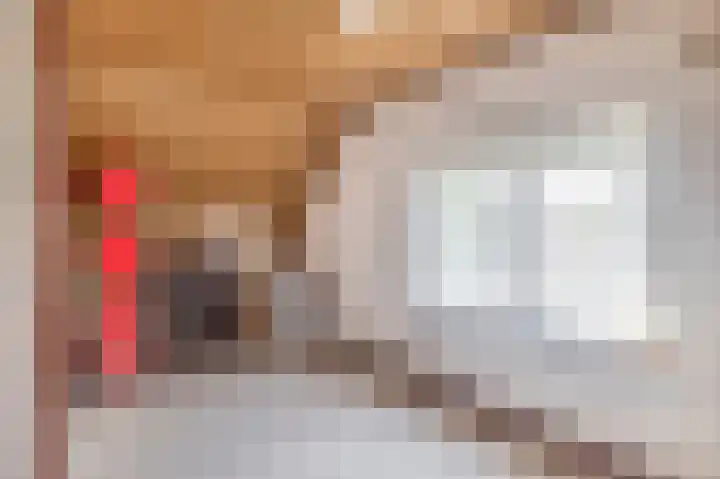Lindestraat 101 Eersel thumbnail 37