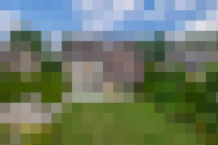Lindestraat 101 Eersel thumbnail 4