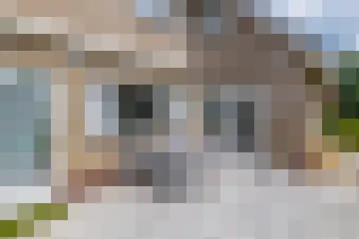 Lindestraat 101 Eersel thumbnail 41