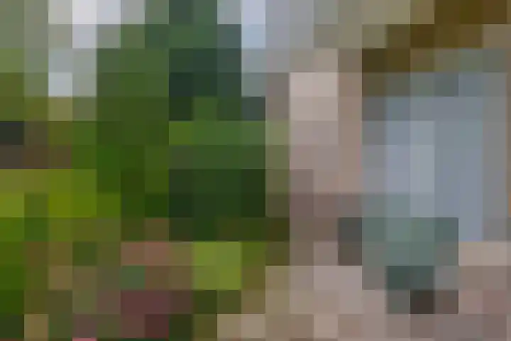 Lindestraat 101 Eersel thumbnail 43