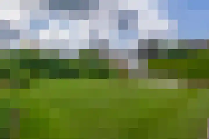Lindestraat 101 Eersel thumbnail 44