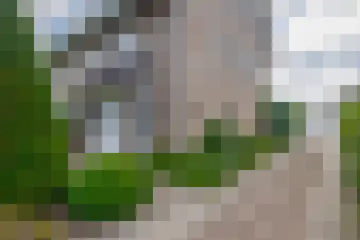 Lindestraat 101 Eersel thumbnail 49