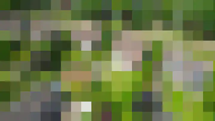 Lindestraat 101 Eersel thumbnail 54
