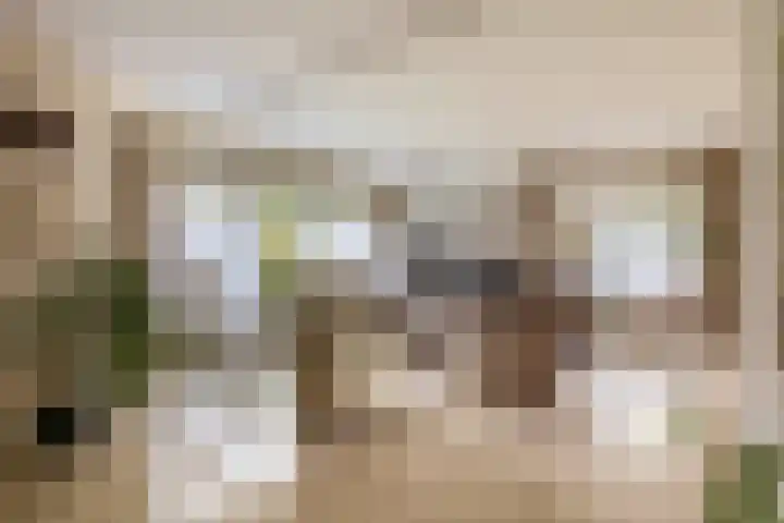 Lindestraat 101 Eersel thumbnail 9