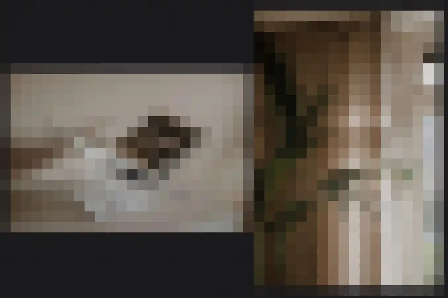 Lindestraat 17 Kerkdriel thumbnail 18
