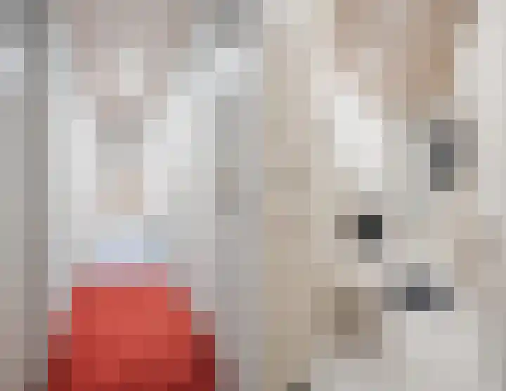 Lindestraat 34 Eersel thumbnail 24