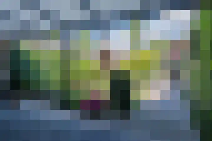 Lindestraat 34 Eersel thumbnail 25