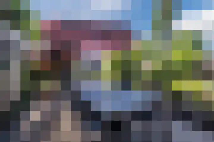 Lindestraat 34 Eersel thumbnail 4