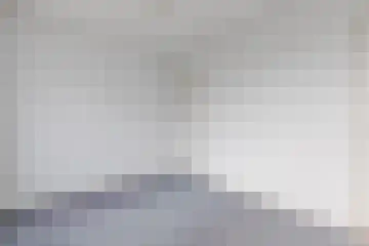 Lindestraat 69 Eersel thumbnail 22