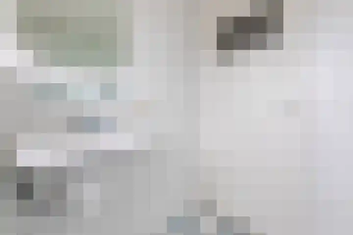 Lindestraat 69 Eersel thumbnail 29