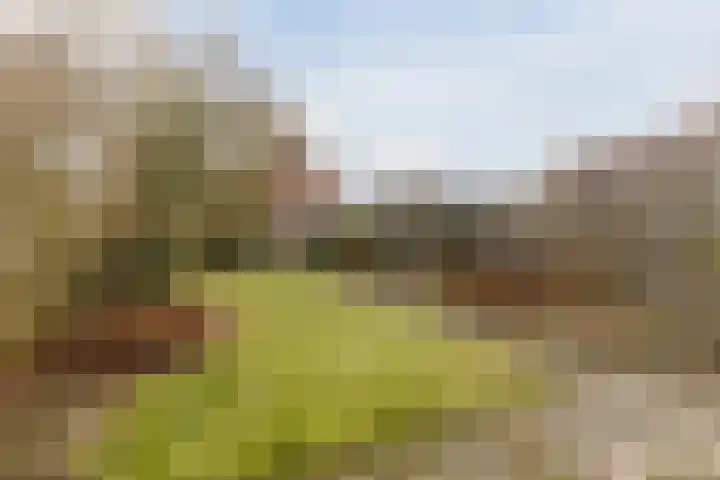 Lindestraat 69 Eersel thumbnail 38