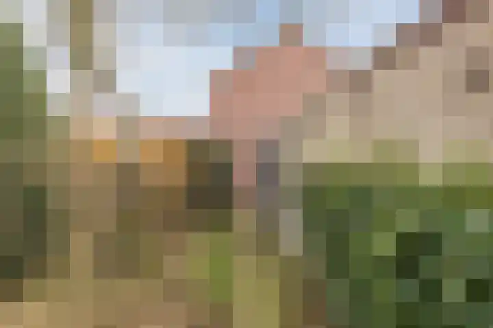 Lindestraat 69 Eersel thumbnail 40