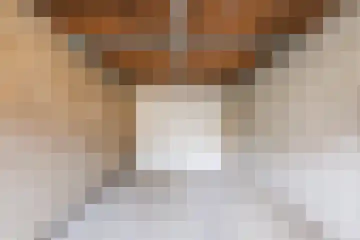 Lindestraat 69 Eersel thumbnail 41