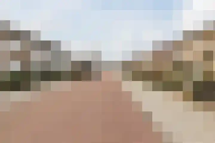 Lindestraat 69 Eersel thumbnail 45