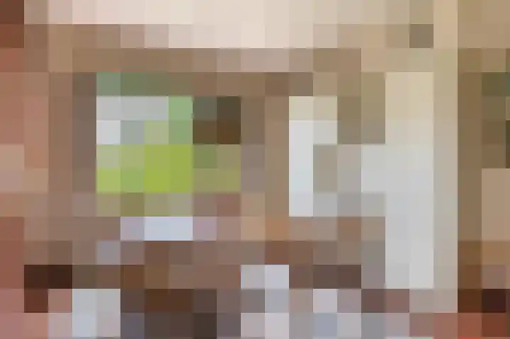 Lindestraat 99 Eersel thumbnail 13