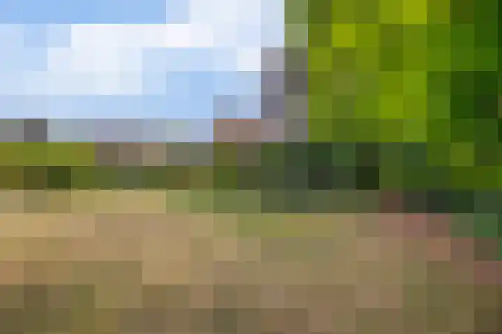 Lindestraat 99 Eersel thumbnail 26