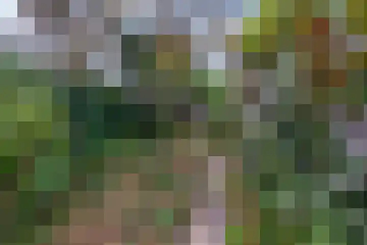 Lindestraat 99 Eersel thumbnail 29