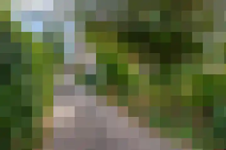 Lindestraat 99 Eersel thumbnail 30