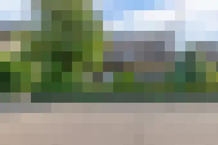 Lindestraat 99 Eersel thumbnail 31