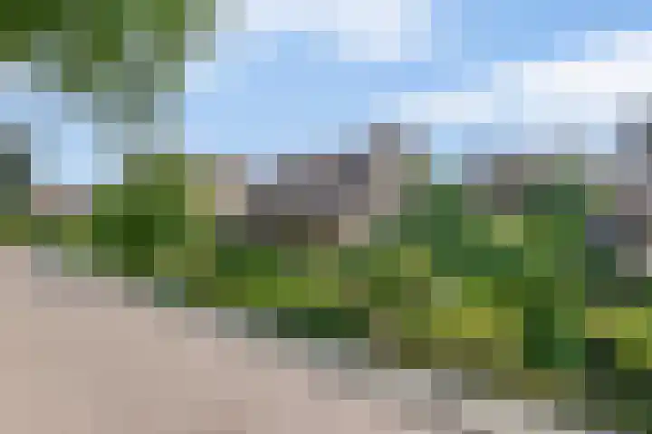 Lindestraat 99 Eersel thumbnail 32