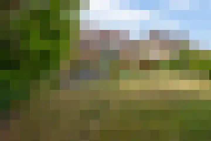 Lindestraat 99 Eersel thumbnail 4