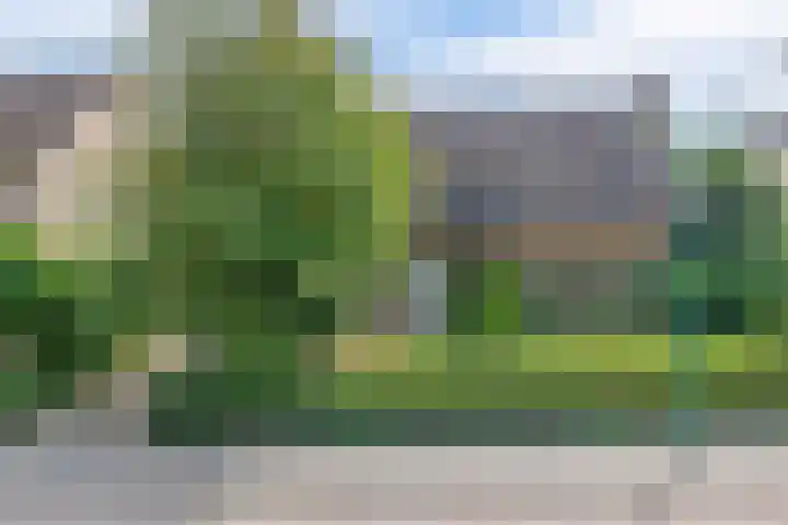 Lindestraat 99 Eersel thumbnail 5