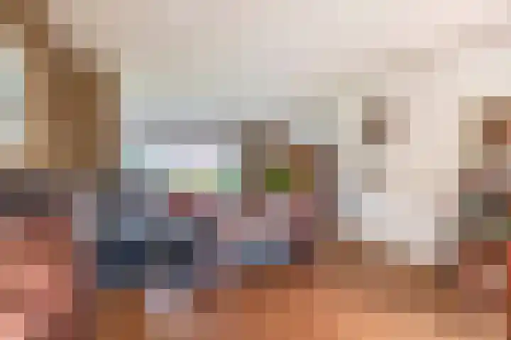 Lindestraat 99 Eersel thumbnail 9