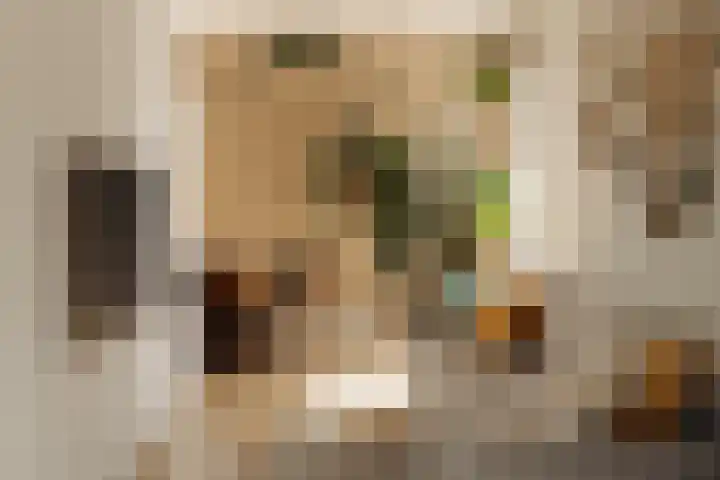 Lindewetering 26 Abcoude thumbnail 11