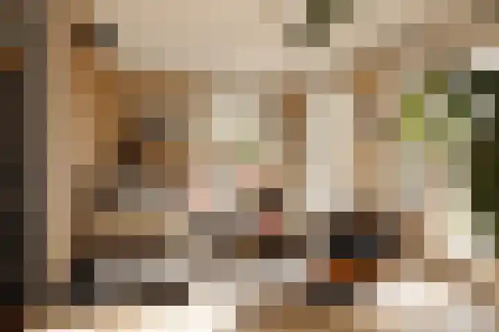 Lindewetering 26 Abcoude thumbnail 12