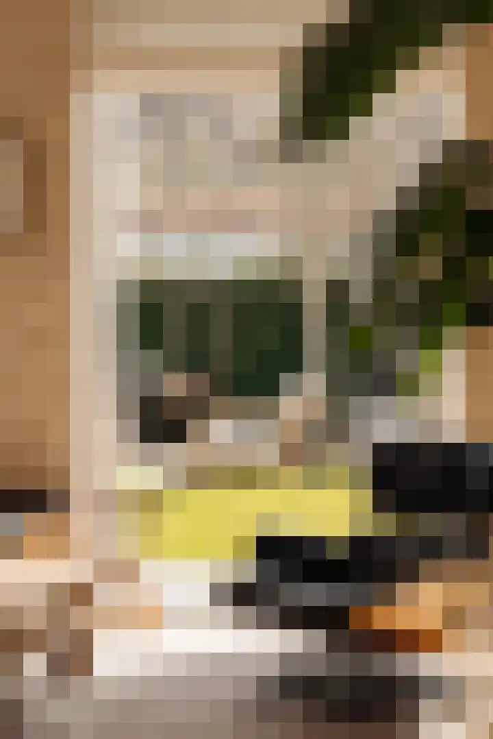 Lindewetering 26 Abcoude thumbnail 13