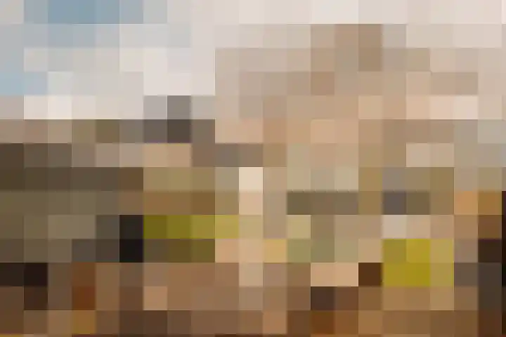 Lindewetering 26 Abcoude thumbnail 16