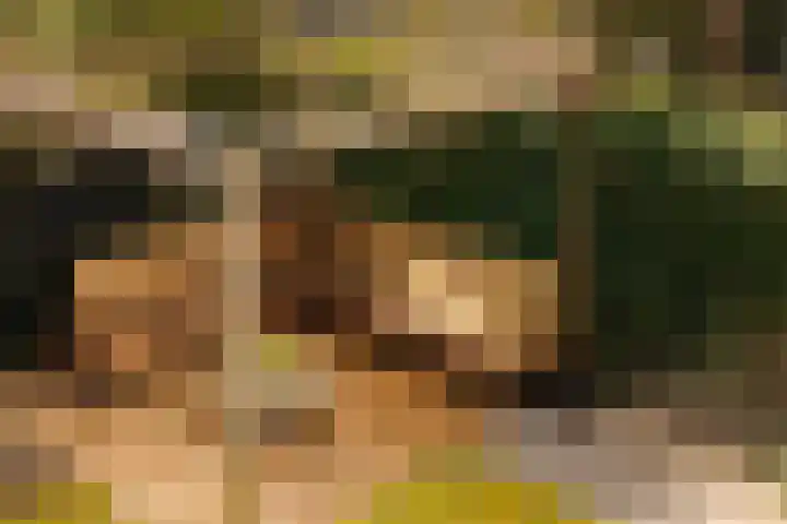 Lindewetering 26 Abcoude thumbnail 18