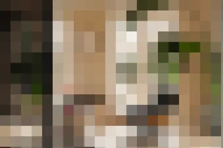 Lindewetering 26 Abcoude thumbnail 24