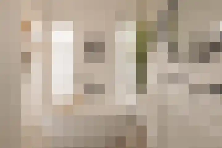 Lindewetering 26 Abcoude thumbnail 29