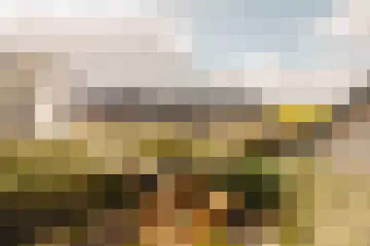 Lindewetering 26 Abcoude thumbnail 42