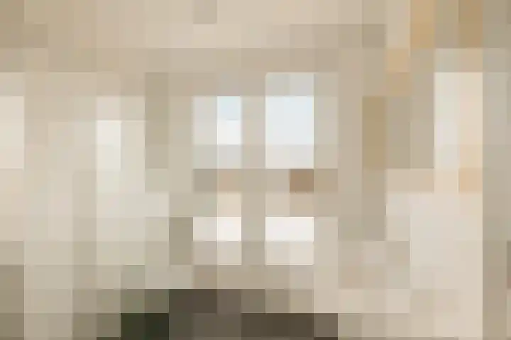 Lindewetering 26 Abcoude thumbnail 48
