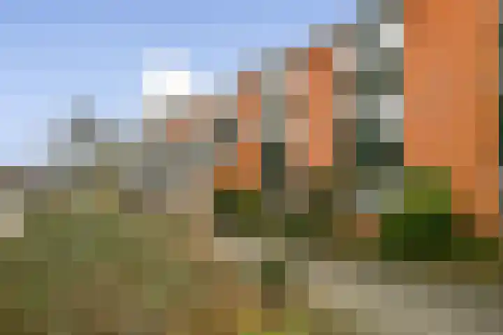 Lindholm 183 Hoofddorp thumbnail 17