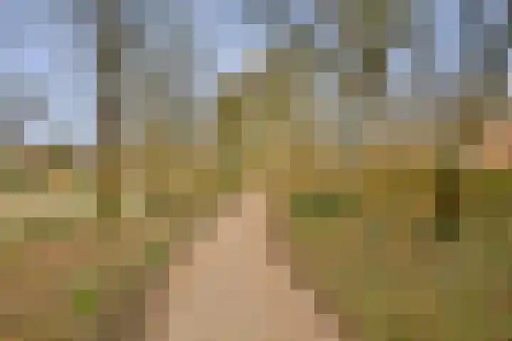 Lindholm 183 Hoofddorp thumbnail 18
