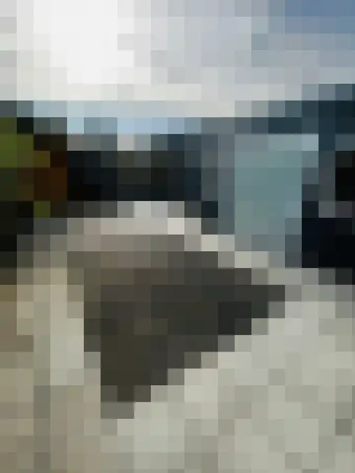 Linge 17 Deurne thumbnail 16