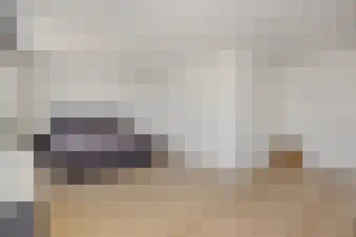 Linge 17 Deurne thumbnail 16