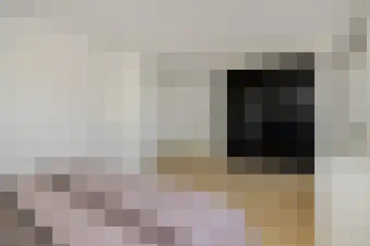 Linge 17 Deurne thumbnail 17