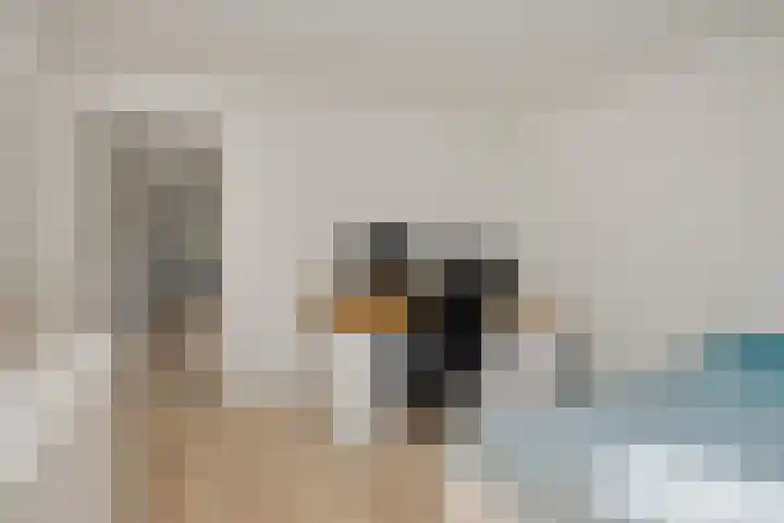 Linge 17 Deurne thumbnail 19