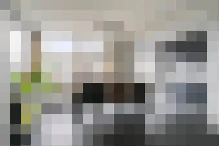 Linge 17 Deurne thumbnail 20