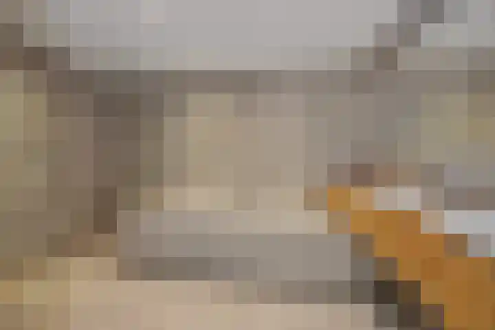 Linge 17 Deurne thumbnail 21