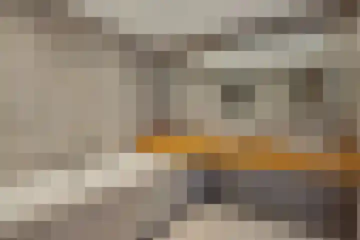 Linge 17 Deurne thumbnail 22