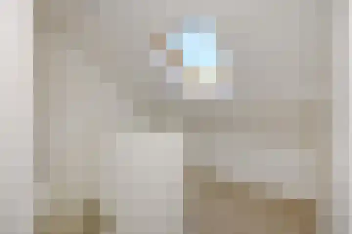 Linge 17 Deurne thumbnail 25