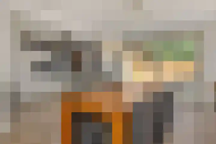 Linge 17 Deurne thumbnail 4